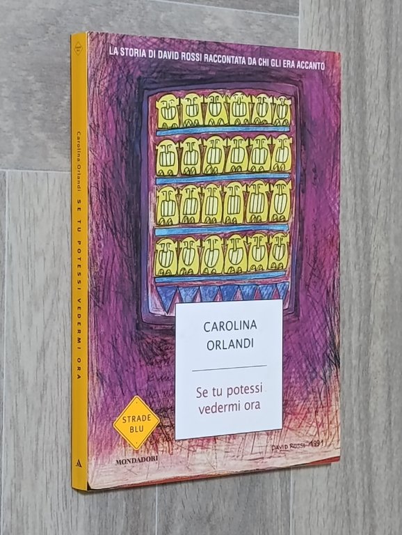 Se tu potessi vedermi ora. La storia di David Rossi …