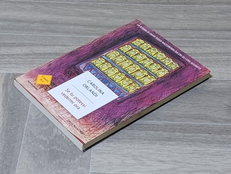 Se tu potessi vedermi ora. La storia di David Rossi …