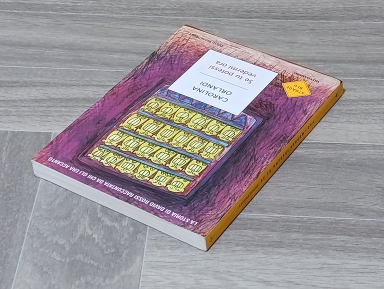 Se tu potessi vedermi ora. La storia di David Rossi …