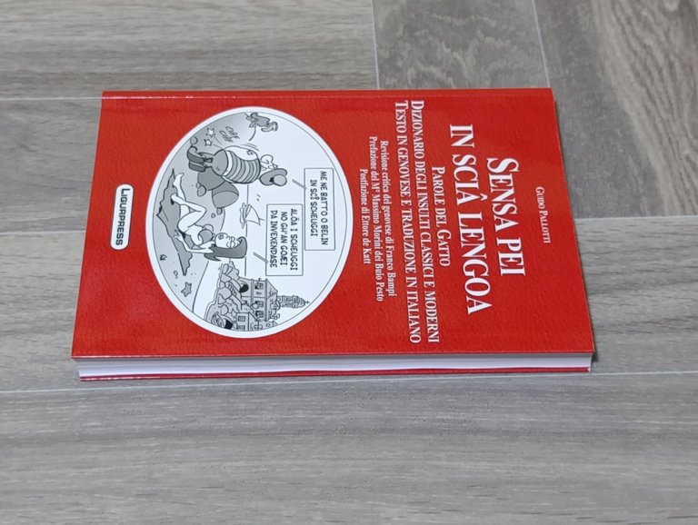 Sensa pei in scia lengoa