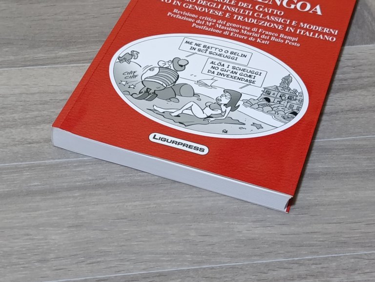 Sensa pei in scia lengoa