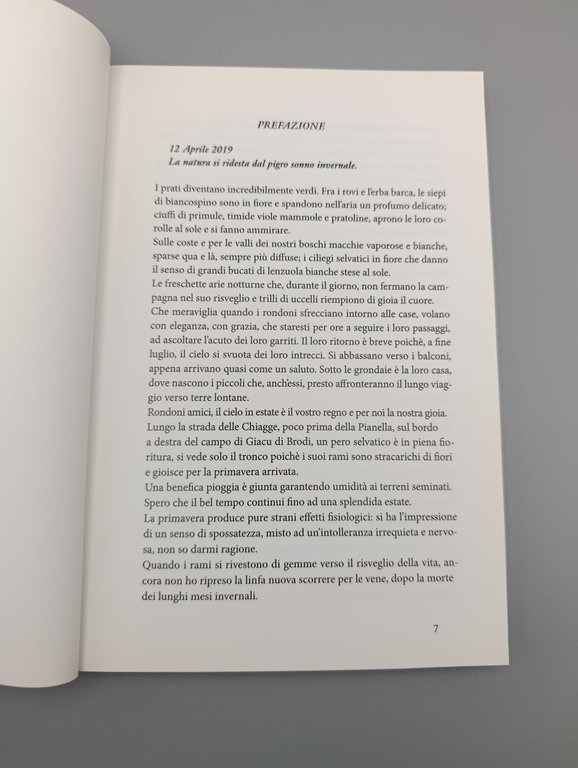 Sfogliando tra le Pieghe del Passato