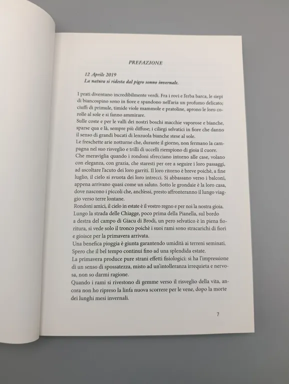 Sfogliando tra le Pieghe del Passato | Immagine Gallery 5