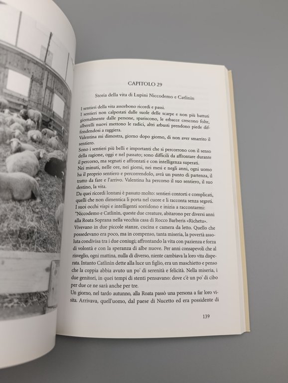 Sfogliando tra le Pieghe del Passato