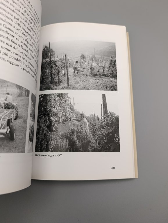 Sfogliando tra le Pieghe del Passato