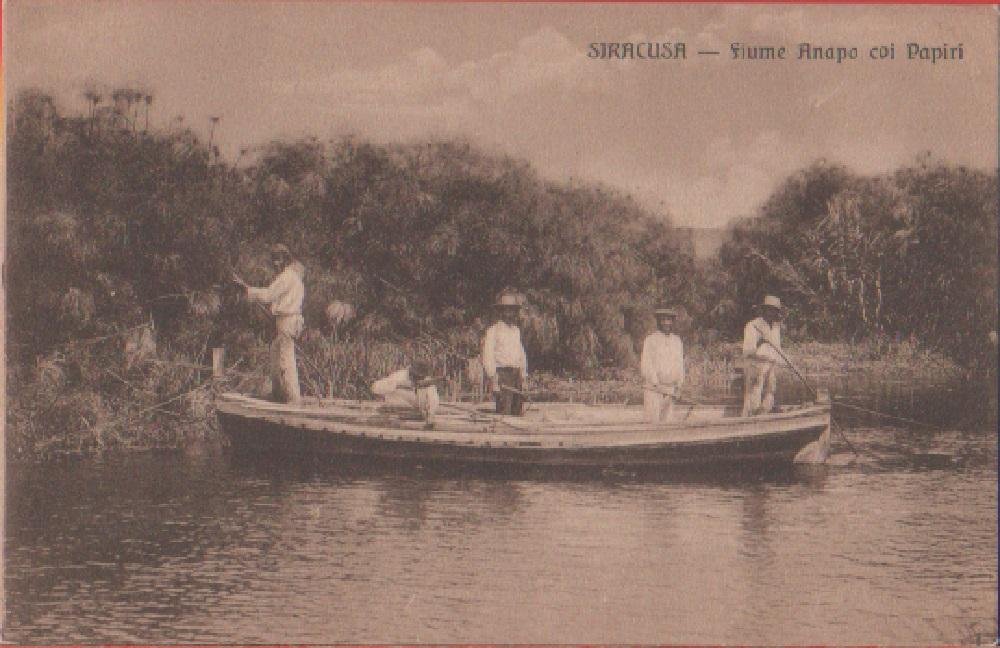 Siracusa. Fiume Anapo coi Papiri. Non viaggiata | Immagine principale