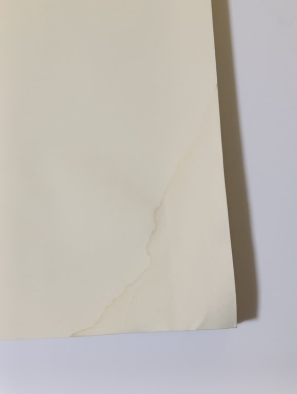 Sogni, illusioni e altre realtà