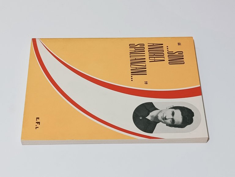 Sono Andrea Spallanzani | Immagine Gallery 2