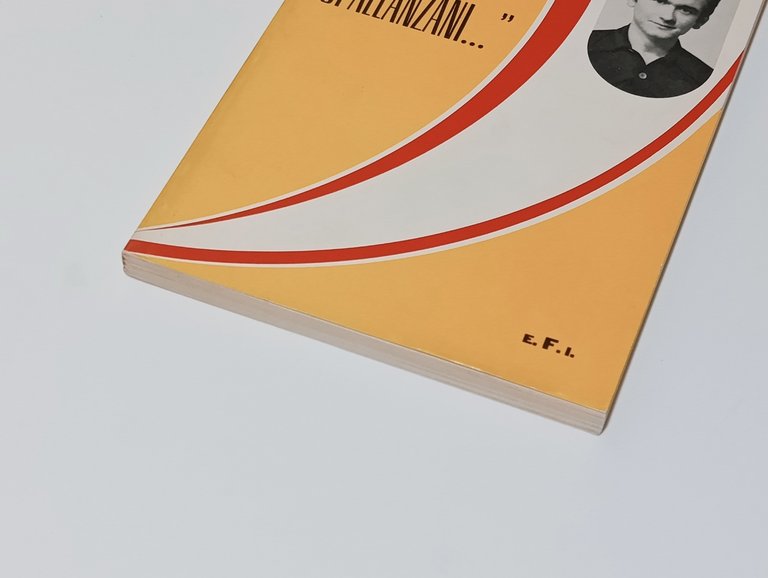 Sono Andrea Spallanzani | Immagine Gallery 3