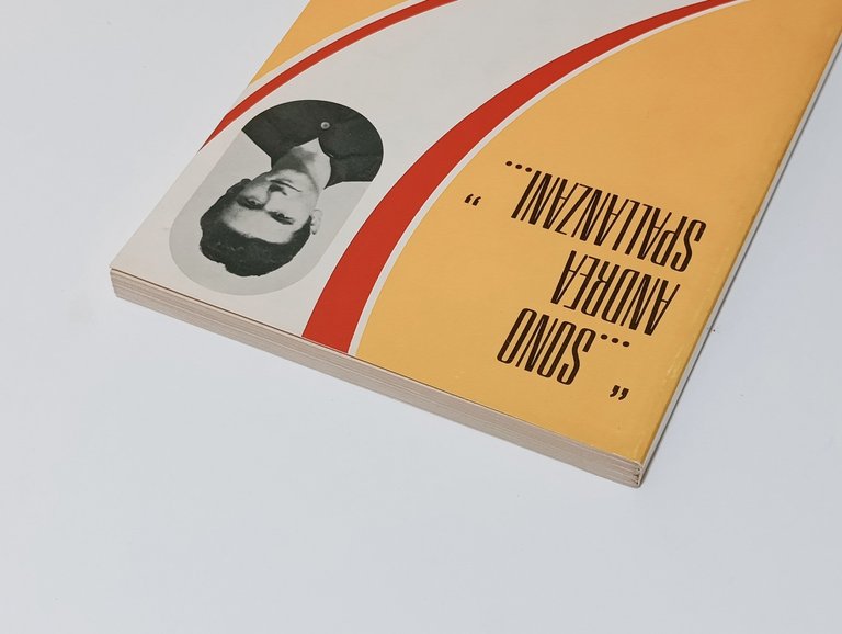 Sono Andrea Spallanzani | Immagine Gallery 4