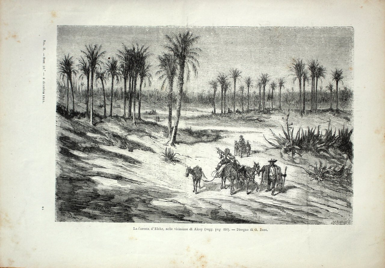 Spagna. La foresta d'Elche nelle vicinanze di Alcoy. Stampa 1864, … | Immagine principale