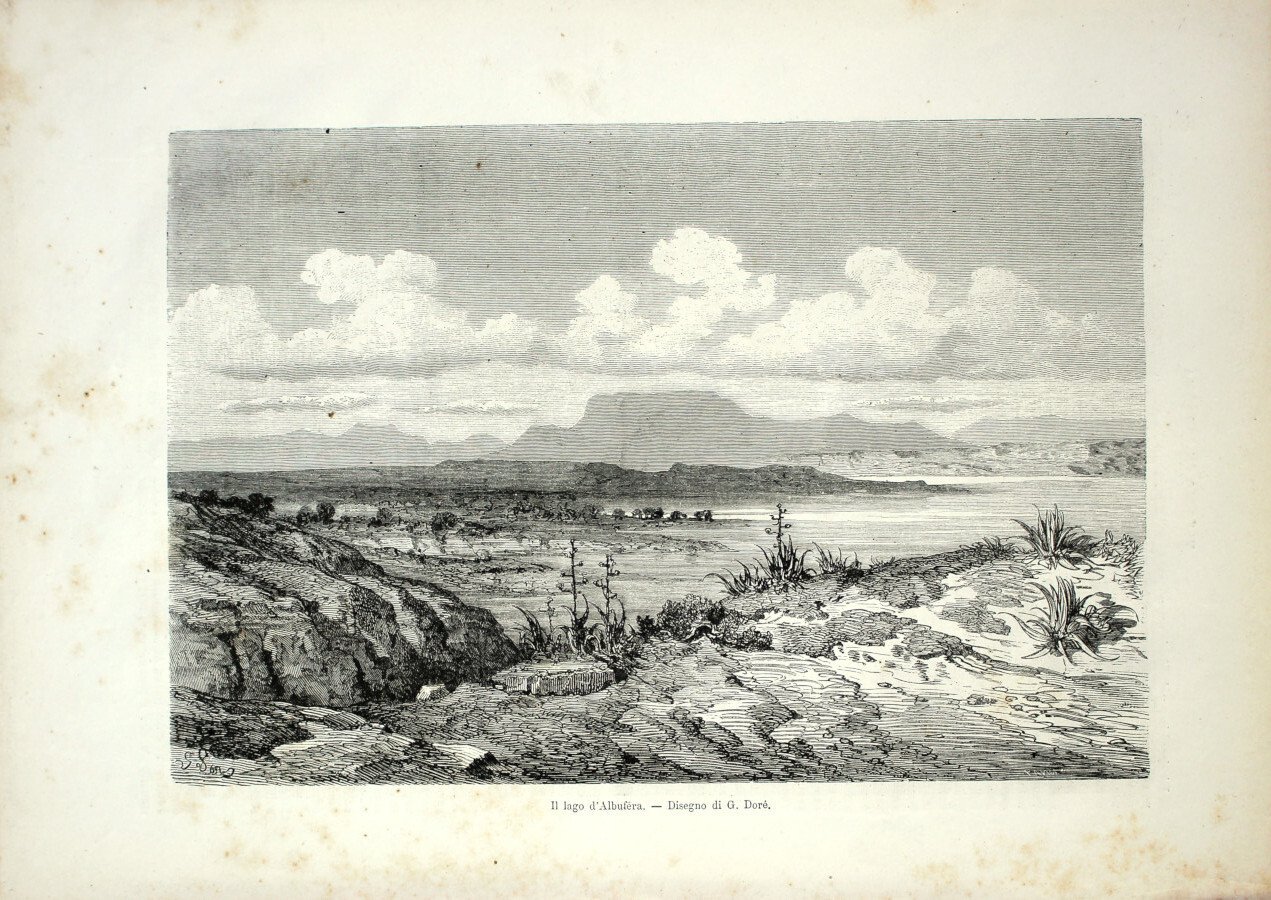 Spagna. Lago di Albufera/Merciauolo di Alcira. Stampa 1864 | Immagine principale