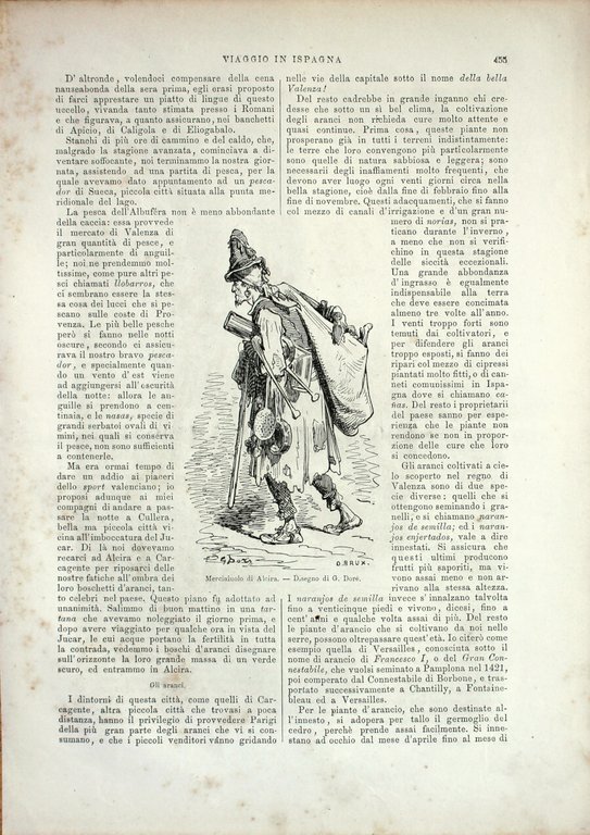 Spagna. Lago di Albufera/Merciauolo di Alcira. Stampa 1864 | Immagine Gallery 2