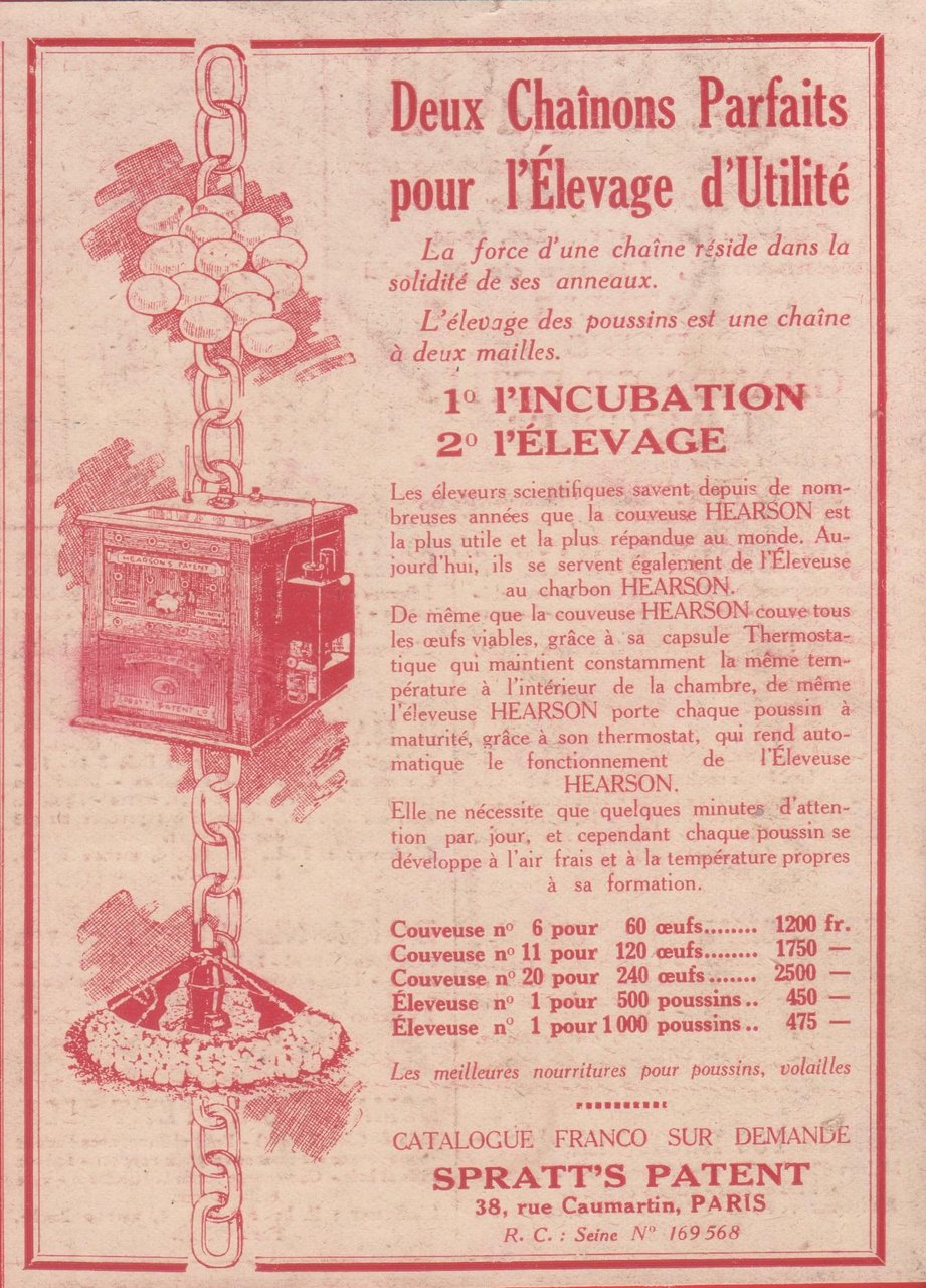 Spratt's Patent pour l'elevage d'utilite. Advertising 1926 | Immagine principale