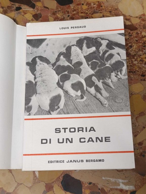 Storia di un Cane. Il Romanzo di Miraut | Immagine Gallery 10