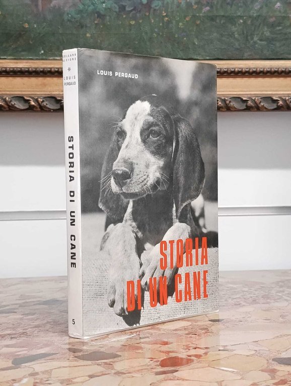 Storia di un Cane. Il Romanzo di Miraut | Immagine Gallery 2