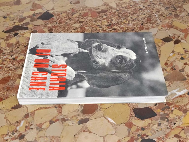 Storia di un Cane. Il Romanzo di Miraut | Immagine Gallery 4