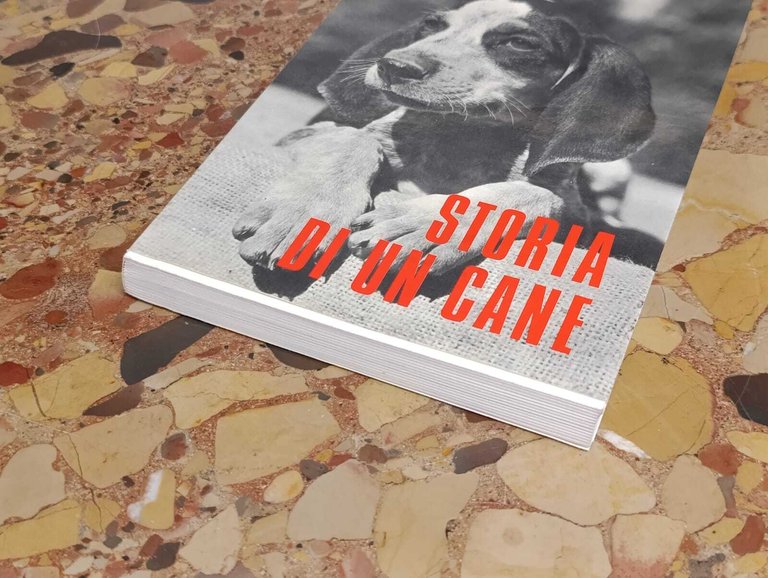 Storia di un Cane. Il Romanzo di Miraut | Immagine Gallery 5