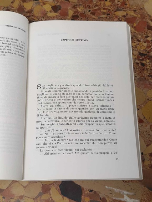 Storia di un Cane. Il Romanzo di Miraut | Immagine Gallery 7