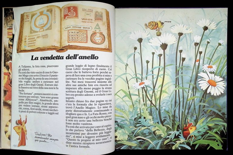Storie del Bosco di Gnomi di Giganti e di Fate | Immagine Gallery 9