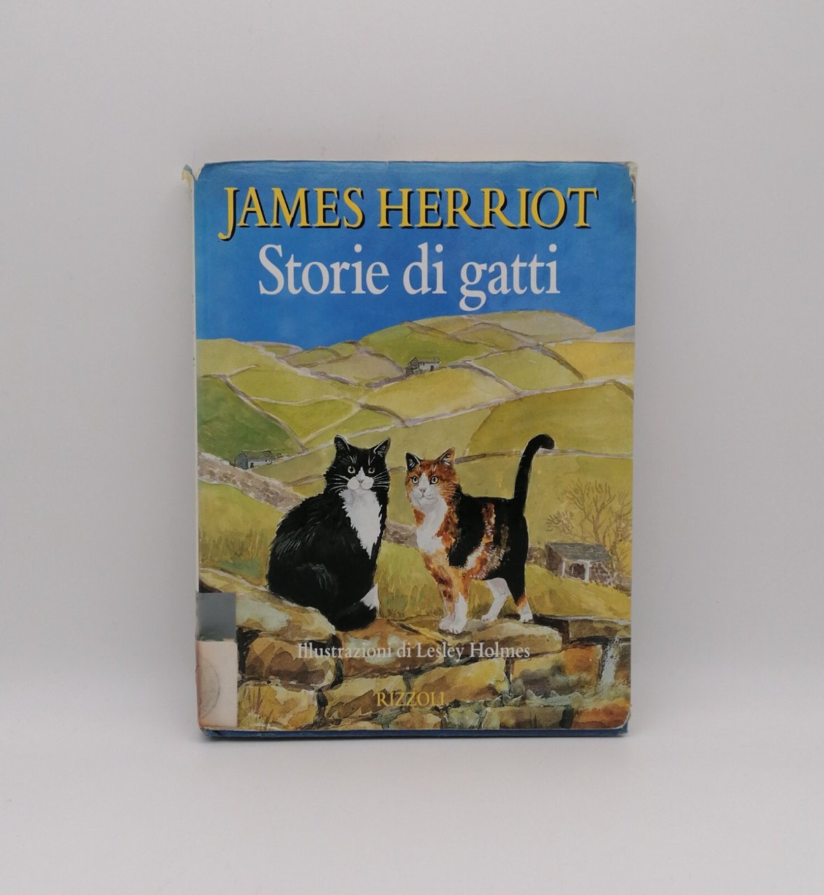 Storie di gatti