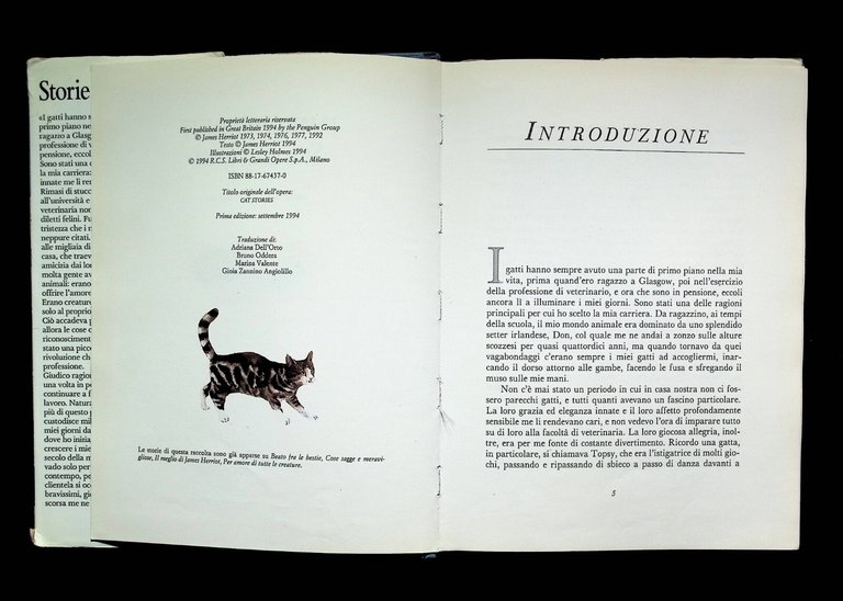 Storie di gatti