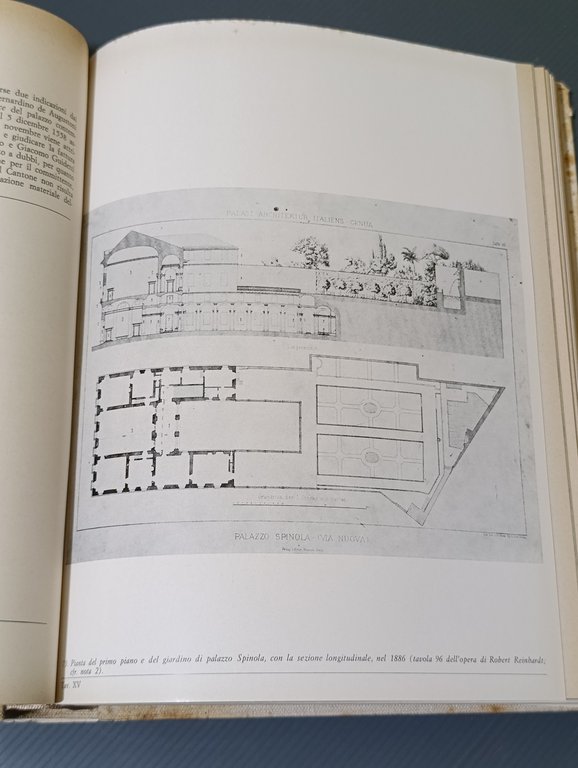 Strada Nuova. Una Lottizzazione del Cinquecento a Genova