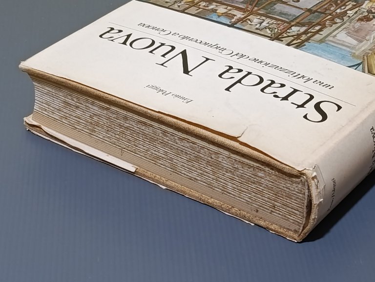 Strada Nuova. Una Lottizzazione del Cinquecento a Genova