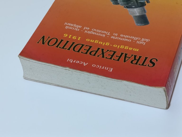 Strafexpedition Maggio-Giugno 1916. Fatti, Memorie, Immagini, Ricordi dell'offensiva in Trentino …