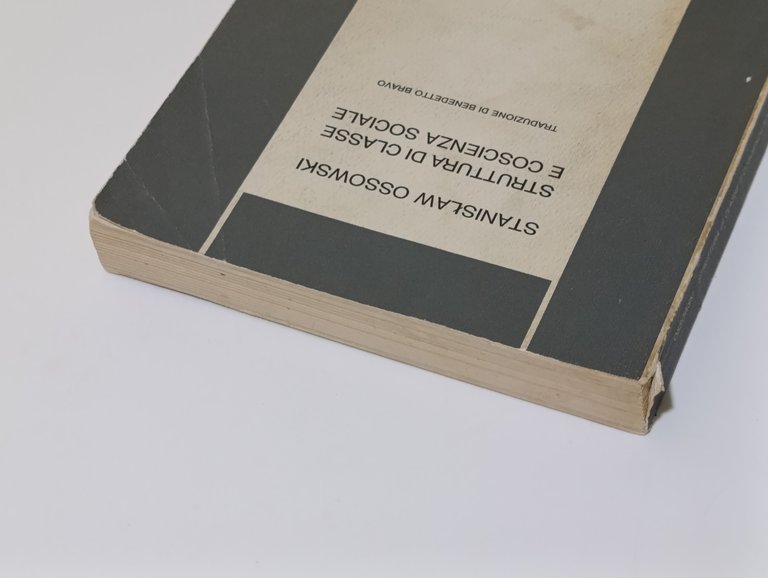 Struttura di Classe e Coscienza Sociale