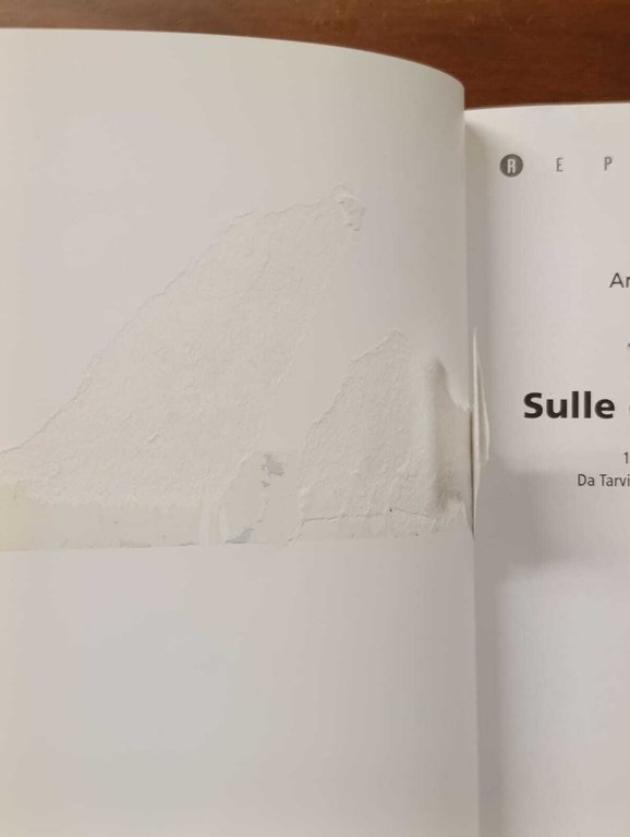 Sulle orme di Balto. 1200 chilometri in Alaska. Da Tarvisio … | Immagine Gallery 9