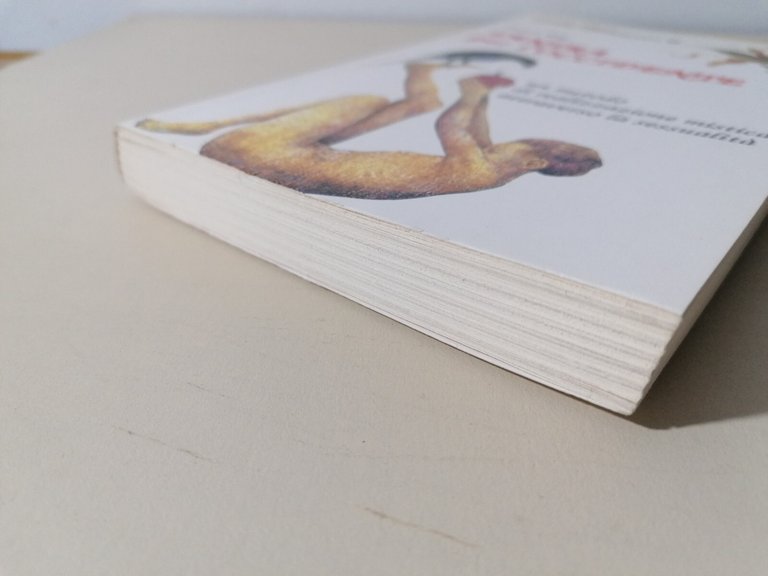 Tantra Per L'Occidente Libro King Realizzazione Mistica Attraverso Sessualità