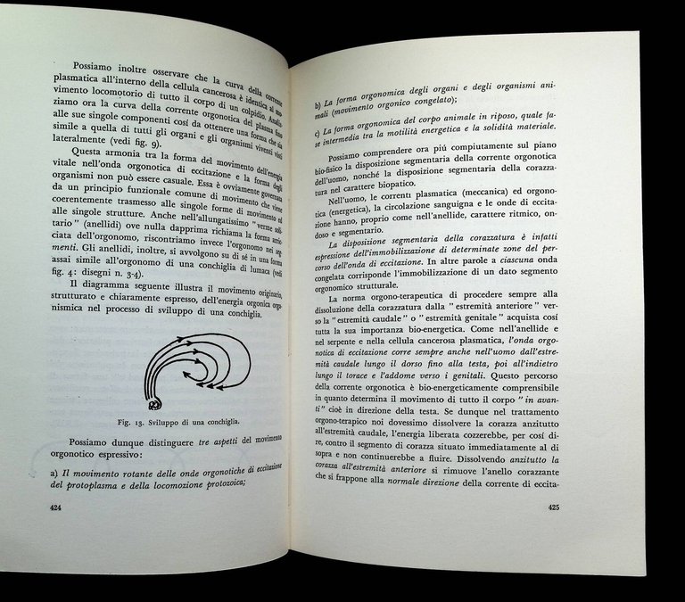 Teoria dell'orgasmo e altri scritti