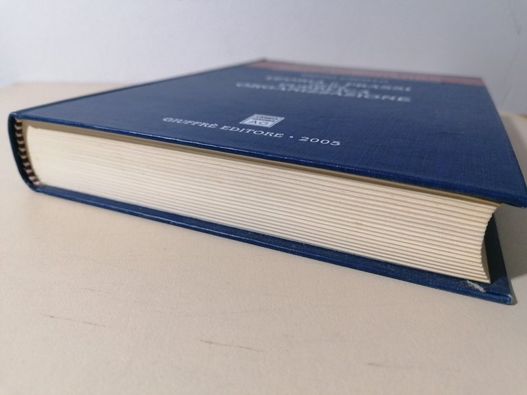 Teoria e prassi della pubblica organizzazione