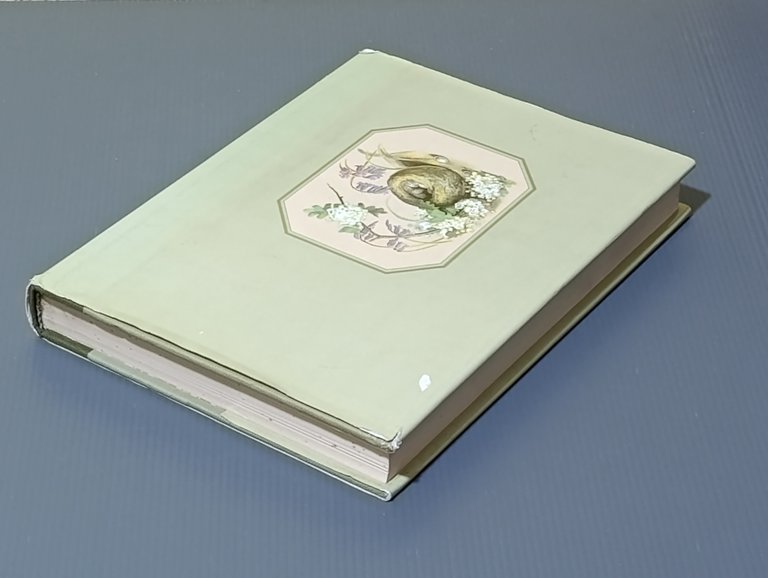 The Edwardian Lady: The Story of Edith Holden