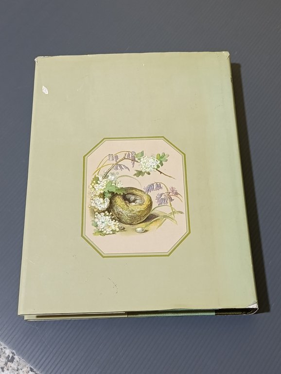 The Edwardian Lady: The Story of Edith Holden