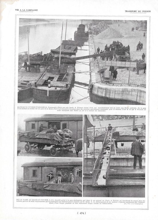Transport du Poisson - Immagine 1923 | Immagine Gallery 2