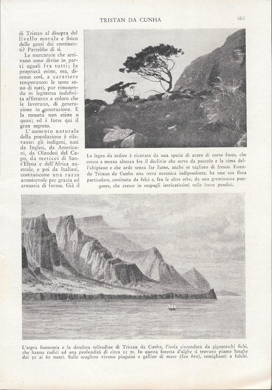Tristan da Cunha - Estratto 1943 | Immagine Gallery 5