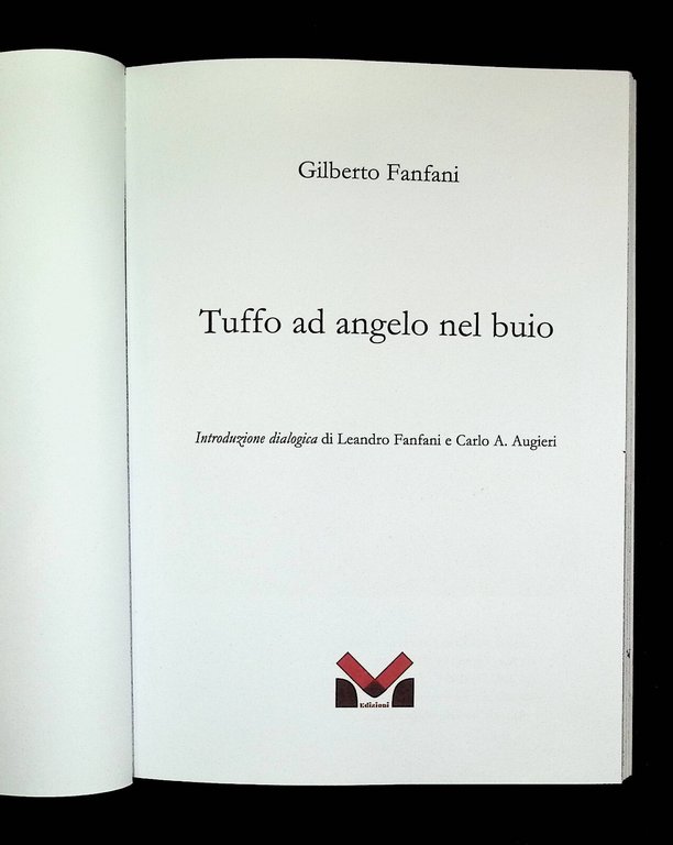 Tuffo ad angelo nel buio