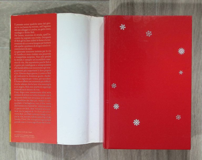 Un dono speciale di nome Bob