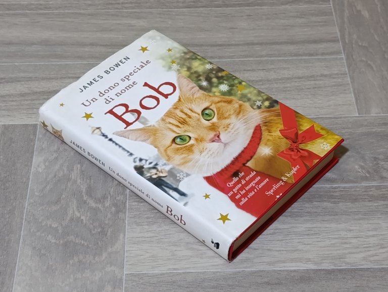 Un dono speciale di nome Bob