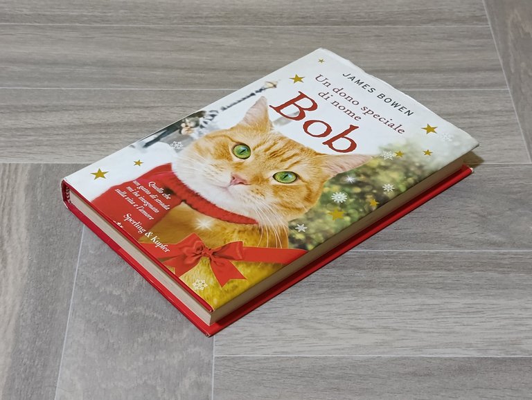 Un dono speciale di nome Bob