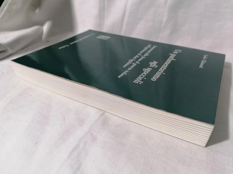 Un Parlamentarismo agli Sgoccioli Libro Chimenti Governo Politica Legislatura