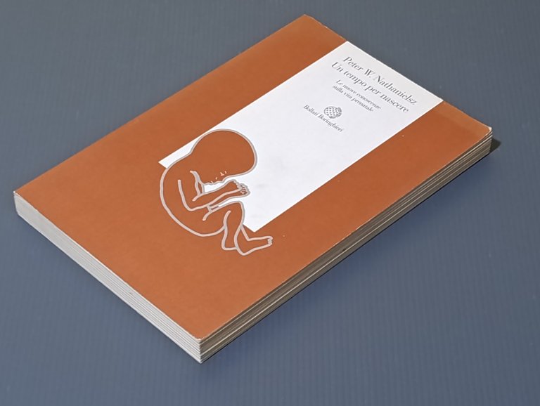 Un tempo per nascere. Le nuove conoscenze sulla vita prenatale