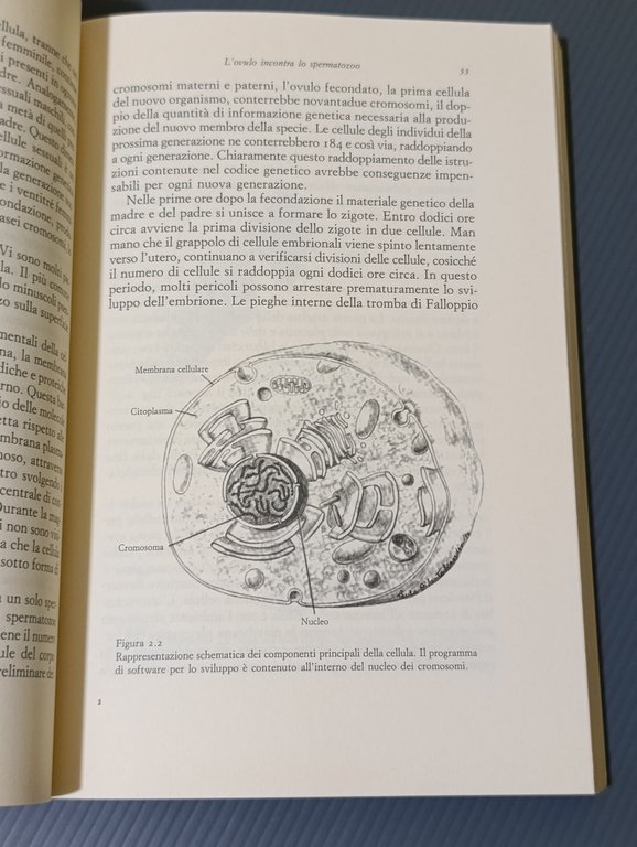 Un tempo per nascere. Le nuove conoscenze sulla vita prenatale