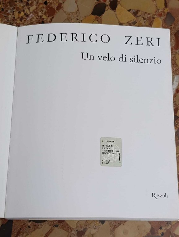 Un velo di silenzio | Immagine Gallery 9