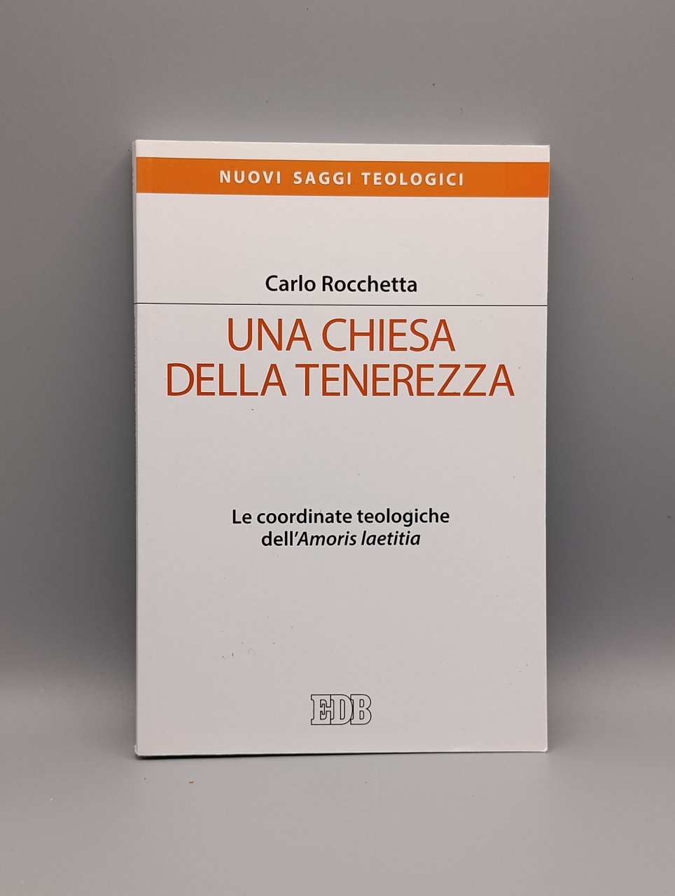 Una Chiesa della tenerezza. Le coordinate teologiche dell'«Amoris laetitia»