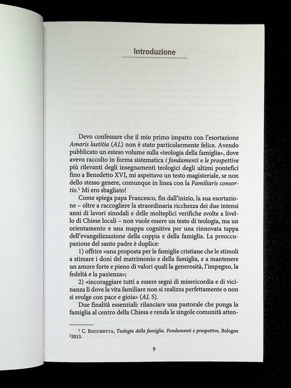 Una Chiesa della tenerezza. Le coordinate teologiche dell'«Amoris laetitia»