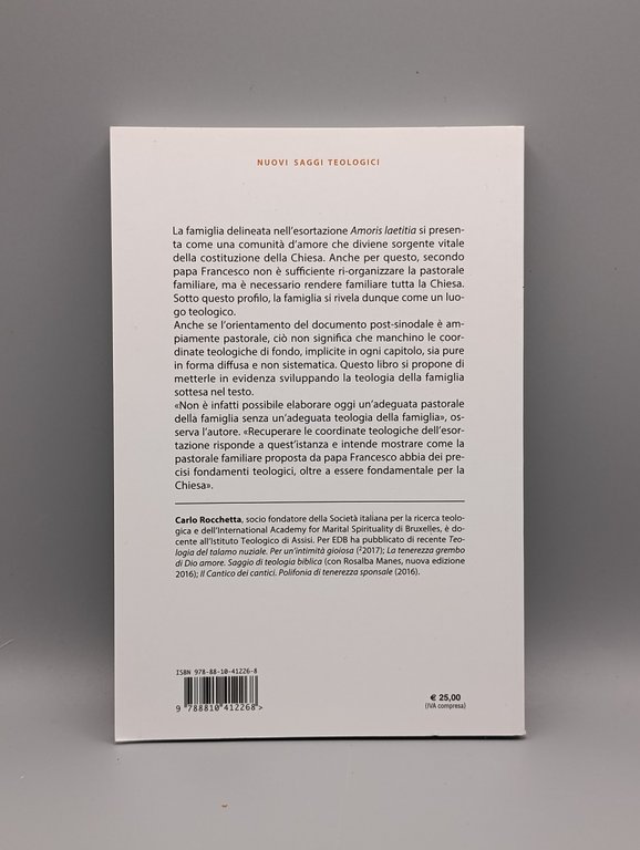 Una Chiesa della tenerezza. Le coordinate teologiche dell'«Amoris laetitia»