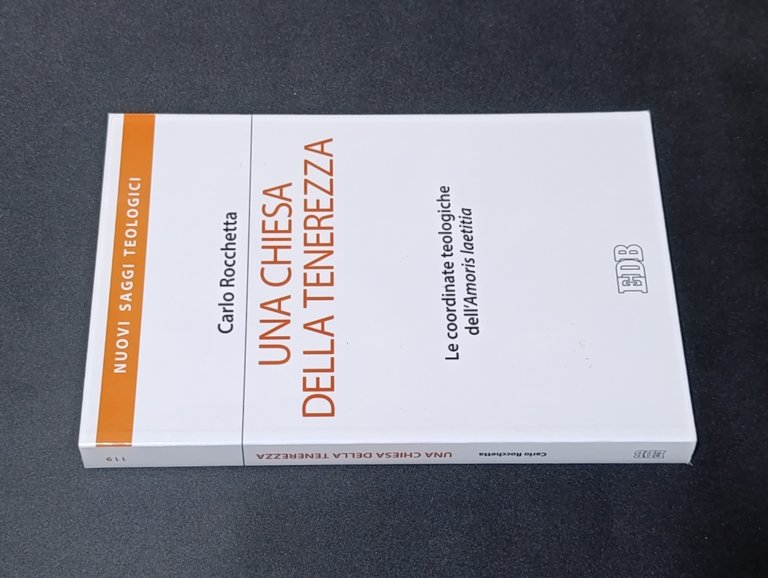 Una Chiesa della tenerezza. Le coordinate teologiche dell'«Amoris laetitia»